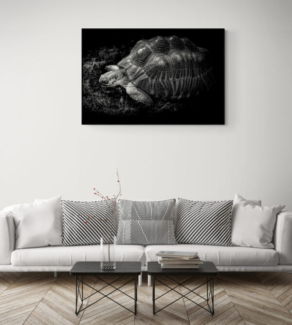 Feng Shui Wall Art - Turtle Or Tortoise, North Wall Art, Feng Shui For Wisdom & Longevity - Image 3