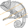 aMazing Adult Colouring Zentangles volume 1 40 Animal themed Designs printable digital download for grownups colouring pages - Image 5