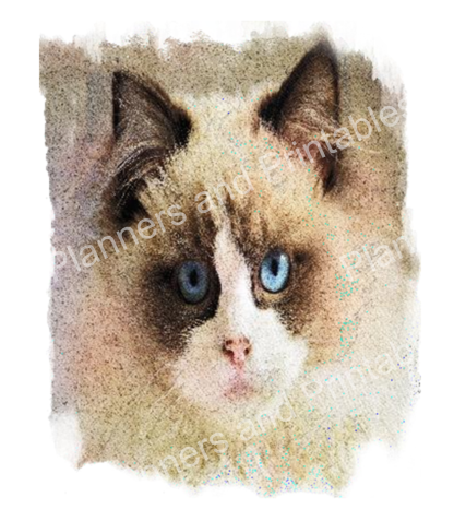 Set of 5 Cat Printable Bookmarks home printable PDF instant download - Image 10