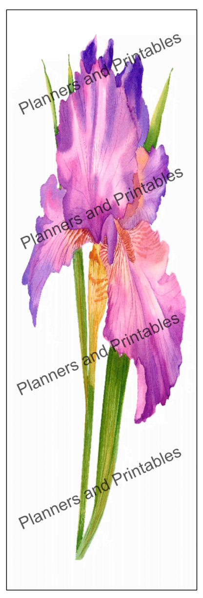 Set of 5 Iris flower watercolour design Printable Bookmarks home printable PDF instant download - Image 4