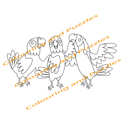 Children's Colouring book Cute Parrots printable digital download for kids colouring pages - Image 8