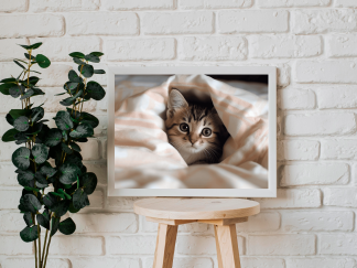 Purrfectly Adorable: Cute Kitten Wall Art