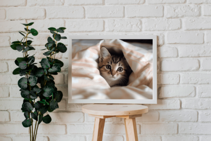 Purrfectly Adorable: Cute Kitten Wall Art